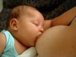 161049_lactation.jpg